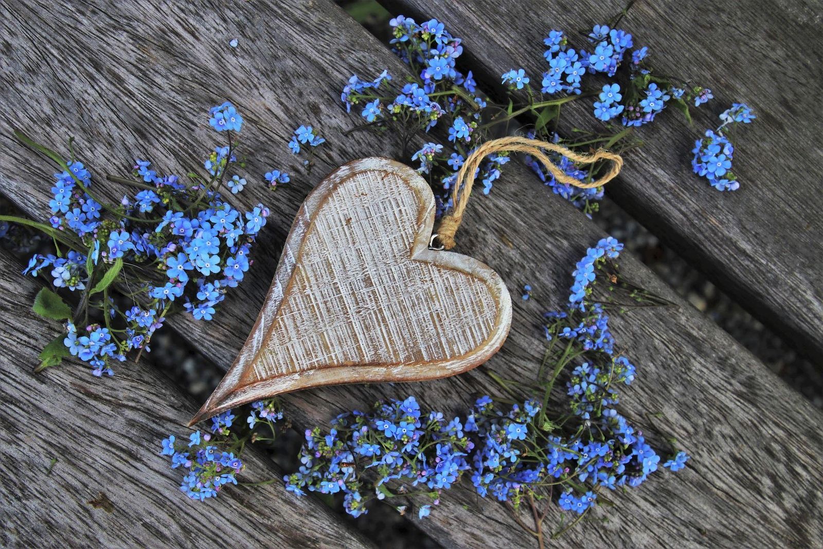 A Green Heart