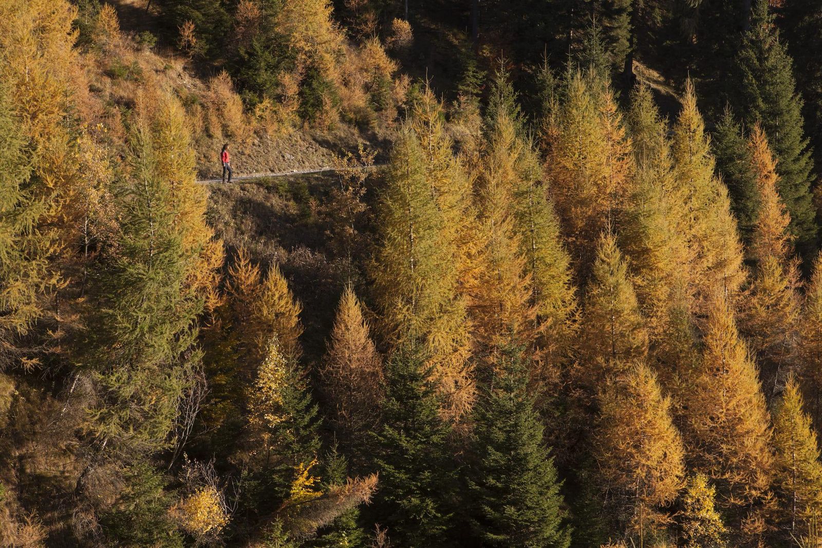 Trekking in Valle del Chiese